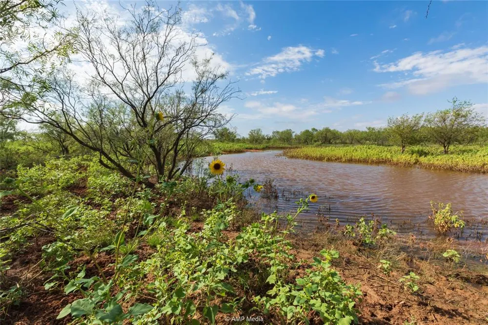 CR 252 Colorado City, TX 79512