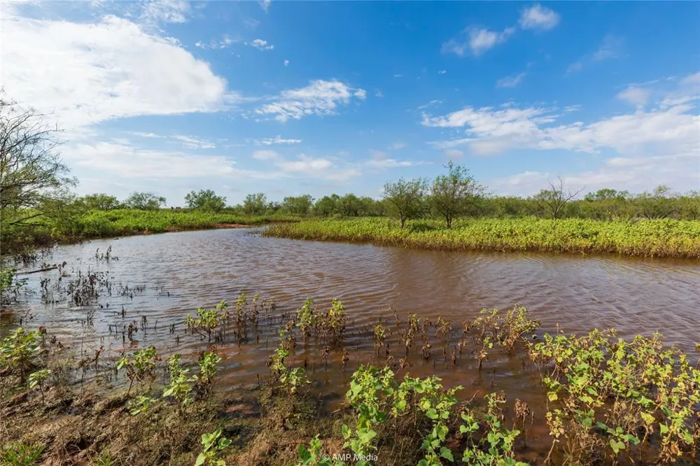 CR 252 Colorado City, TX 79512