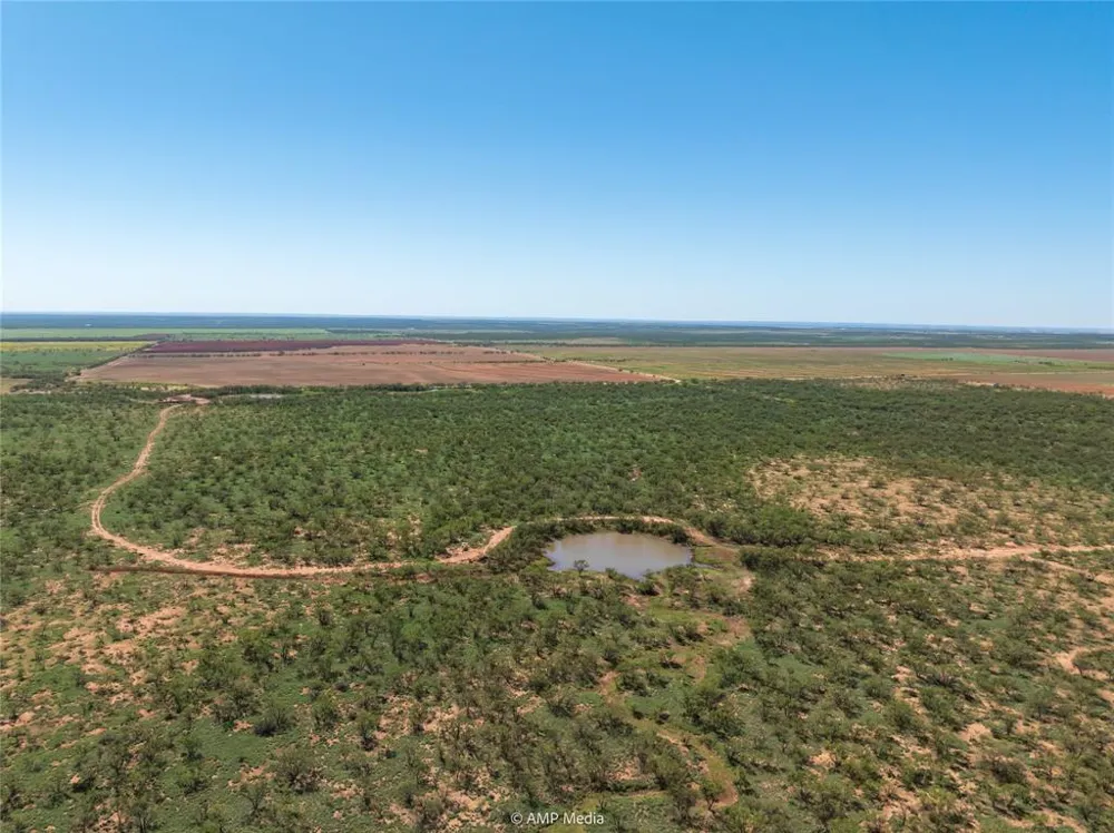 CR 252 Colorado City, TX 79512
