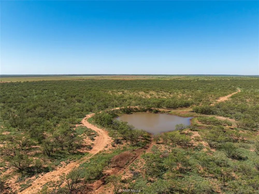 CR 252 Colorado City, TX 79512