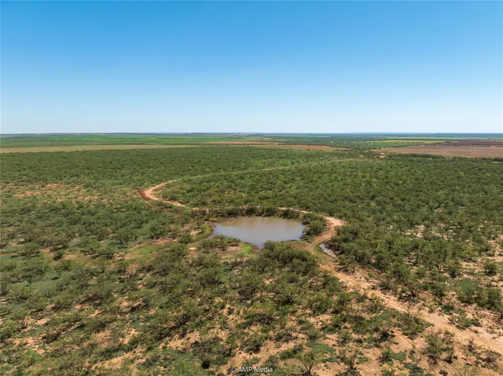 CR 252 Colorado City, TX 79512