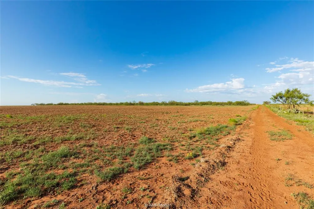 CR 252 Colorado City, TX 79512