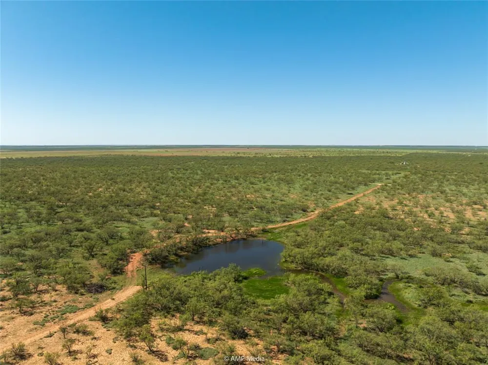 CR 252 Colorado City, TX 79512