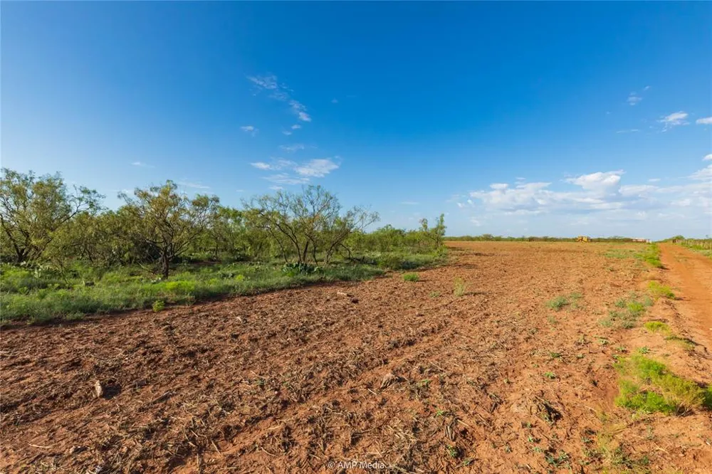 CR 252 Colorado City, TX 79512