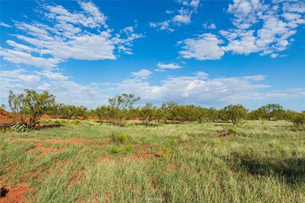 CR 252 Colorado City, TX 79512