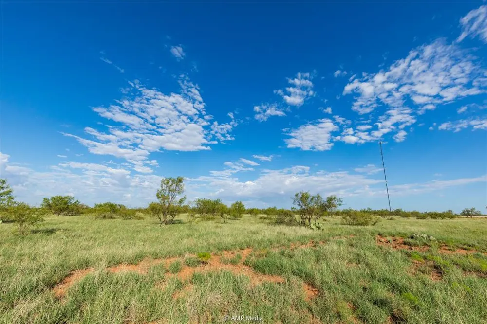 CR 252 Colorado City, TX 79512