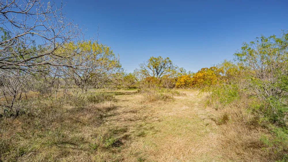 Virginia Eastland, TX 76448