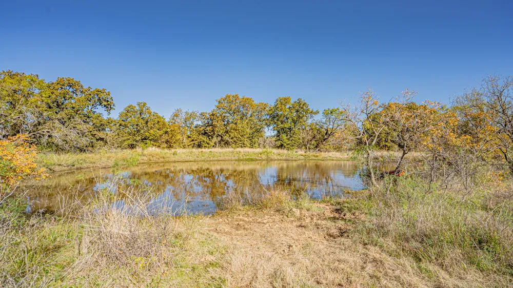 Virginia Eastland, TX 76448