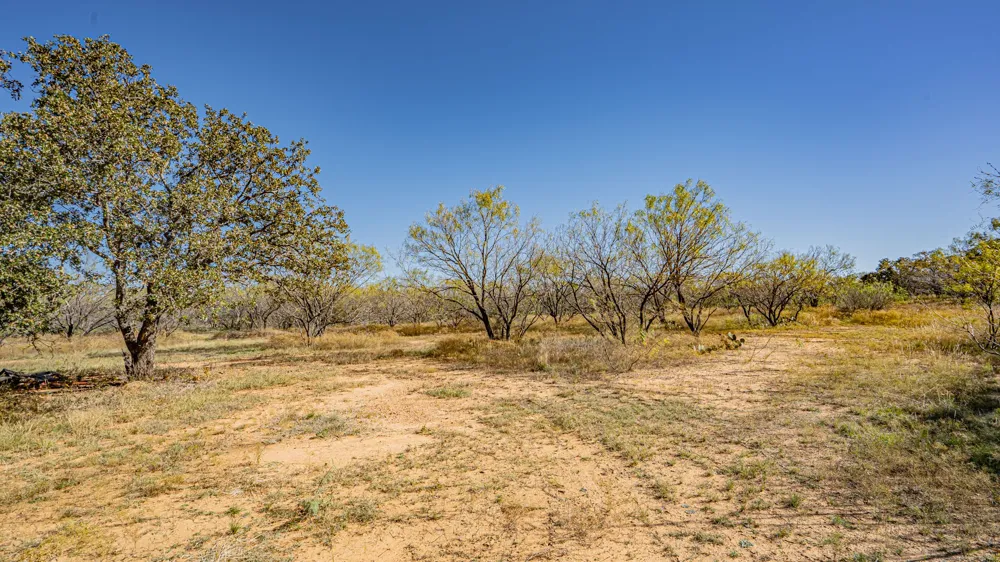 Virginia Eastland, TX 76448
