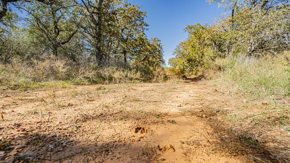 Virginia Eastland, TX 76448