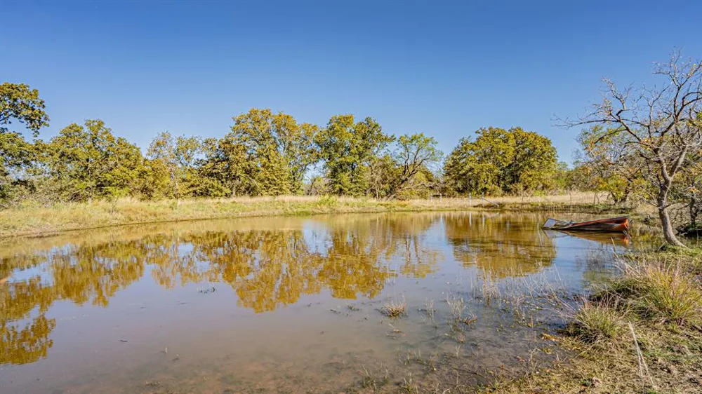 Virginia Eastland, TX 76448