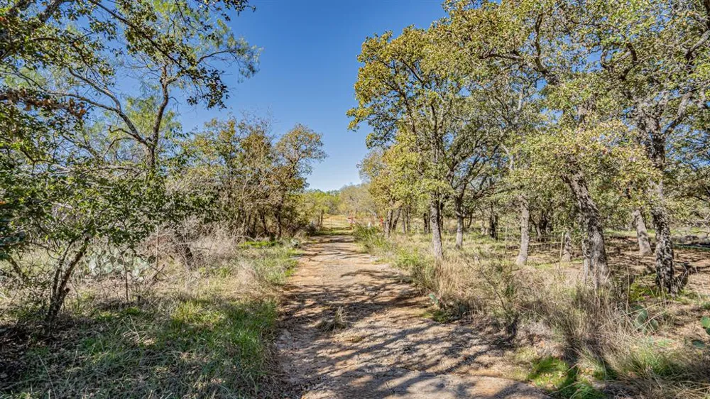 Virginia Eastland, TX 76448