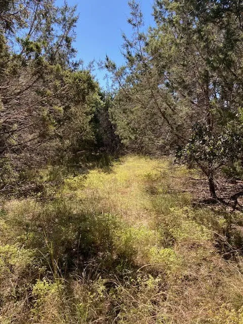 55 York Creek Road