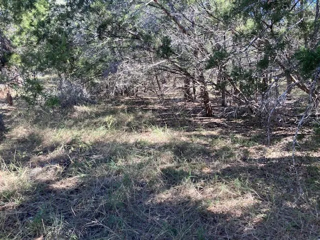55 York Creek Road Driftwood, TX 78619