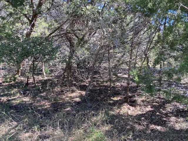 55 York Creek Road Driftwood, TX 78619