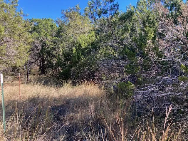 55 York Creek Road Driftwood, TX 78619
