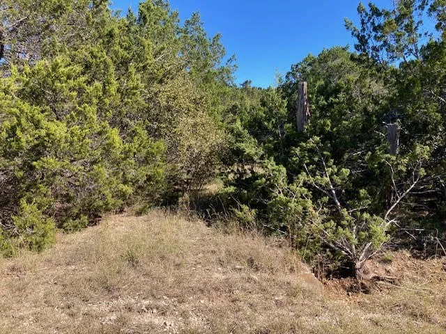 55 York Creek Road Driftwood, TX 78619