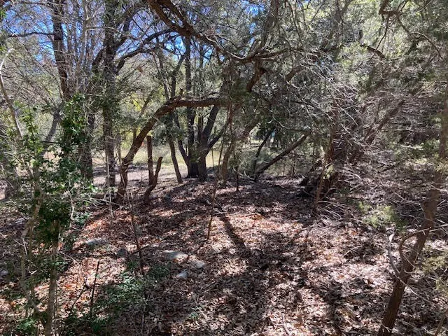 55 York Creek Road Driftwood, TX 78619