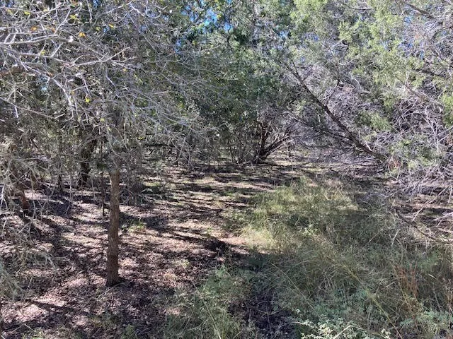 55 York Creek Road Driftwood, TX 78619