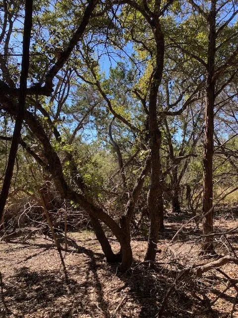 55 York Creek Road Driftwood, TX 78619