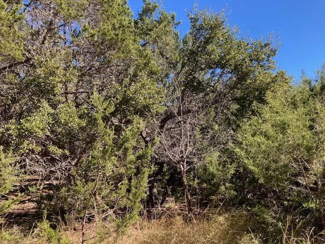 55 York Creek Road Driftwood, TX 78619