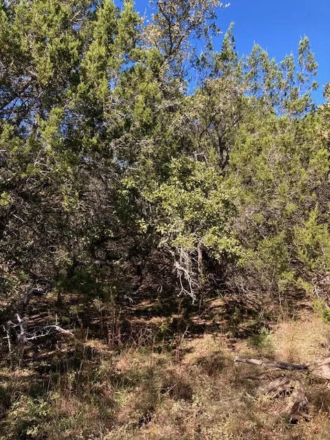 55 York Creek Road Driftwood, TX 78619