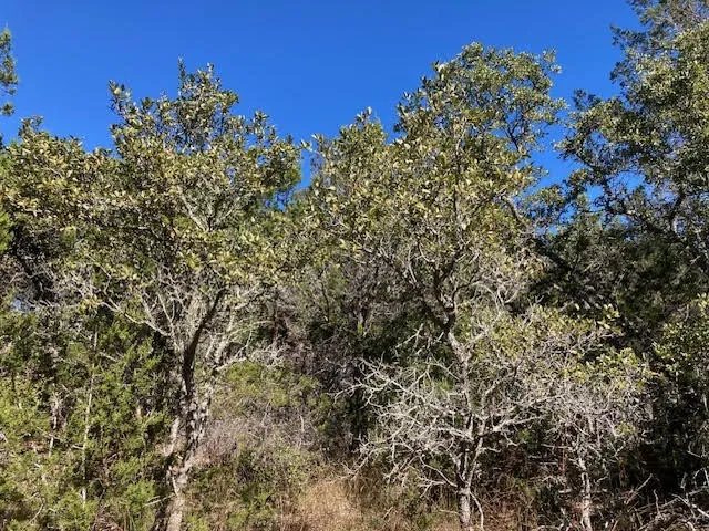 55 York Creek Road Driftwood, TX 78619