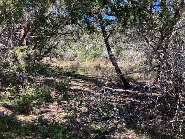 55 York Creek Road Driftwood, TX 78619