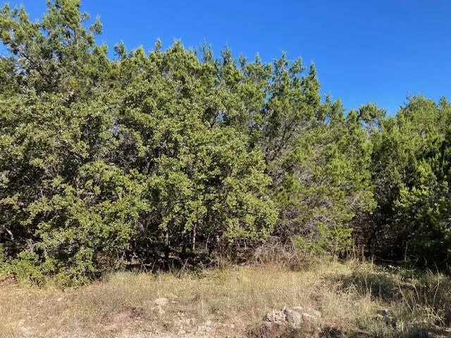 55 York Creek Road Driftwood, TX 78619