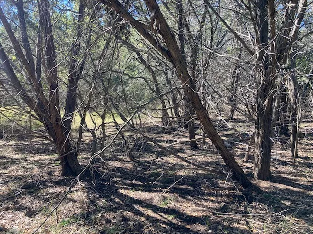 55 York Creek Road Driftwood, TX 78619