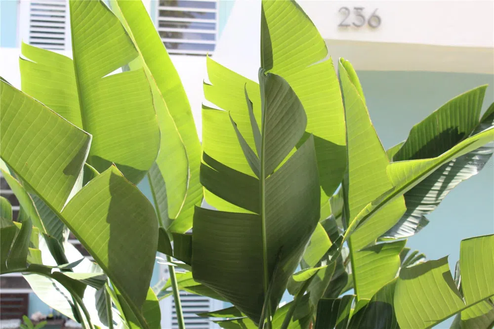 236 ACACIA Vieques, PR 00765