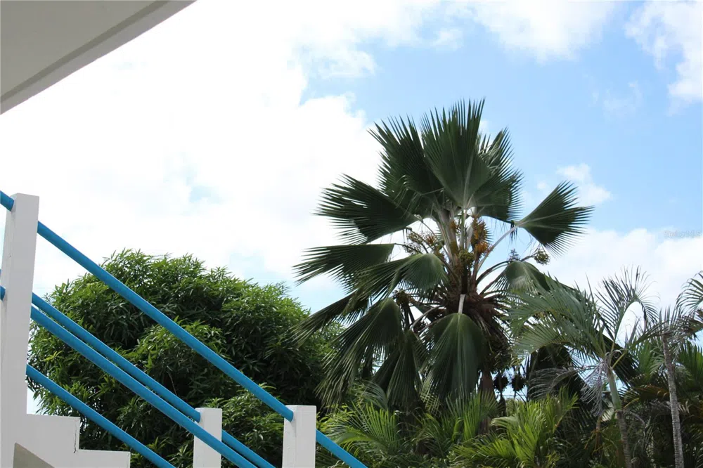 236 ACACIA Vieques, PR 00765