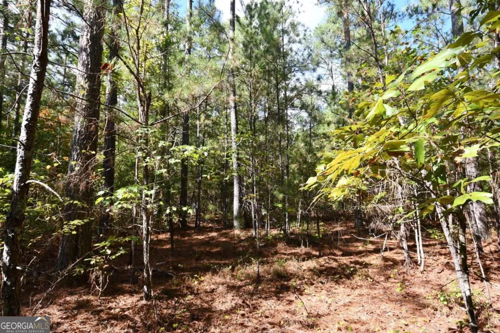00001 Poplar Springs RD Buchanan, GA 30113