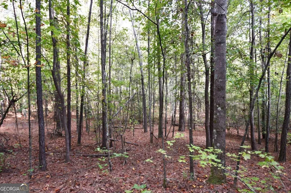 00001 Poplar Springs RD Buchanan, GA 30113