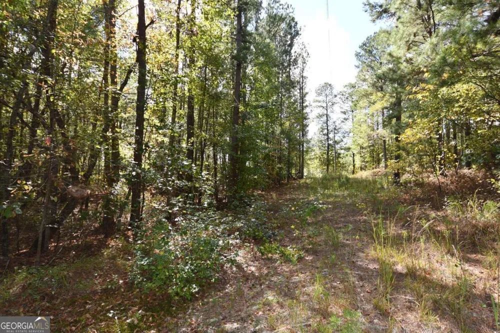00001 Poplar Springs RD Buchanan, GA 30113