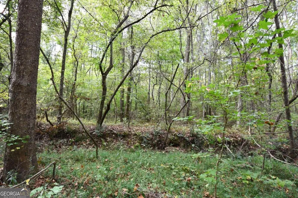 00001 Poplar Springs RD Buchanan, GA 30113