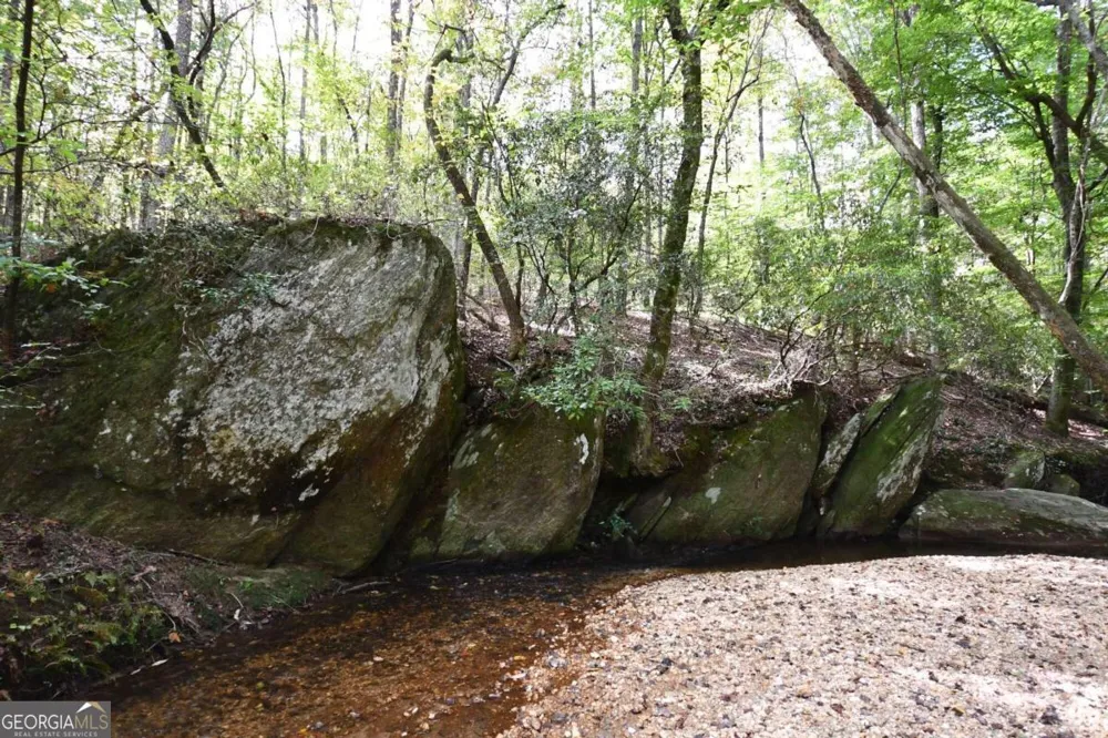 00001 Poplar Springs RD Buchanan, GA 30113