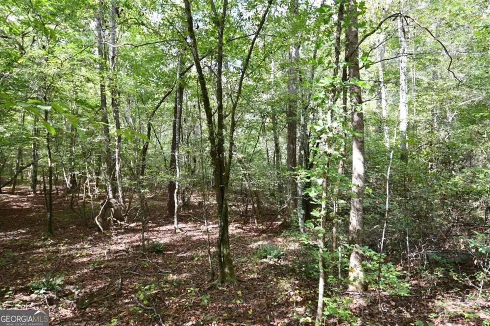 00001 Poplar Springs RD Buchanan, GA 30113
