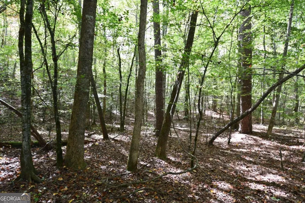 00001 Poplar Springs RD Buchanan, GA 30113