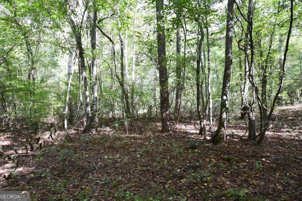 00001 Poplar Springs RD Buchanan, GA 30113