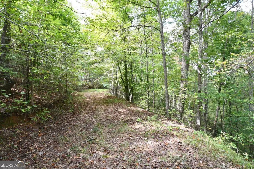 00001 Poplar Springs RD Buchanan, GA 30113