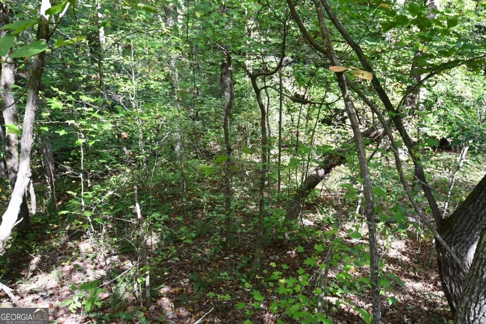 00001 Poplar Springs RD Buchanan, GA 30113