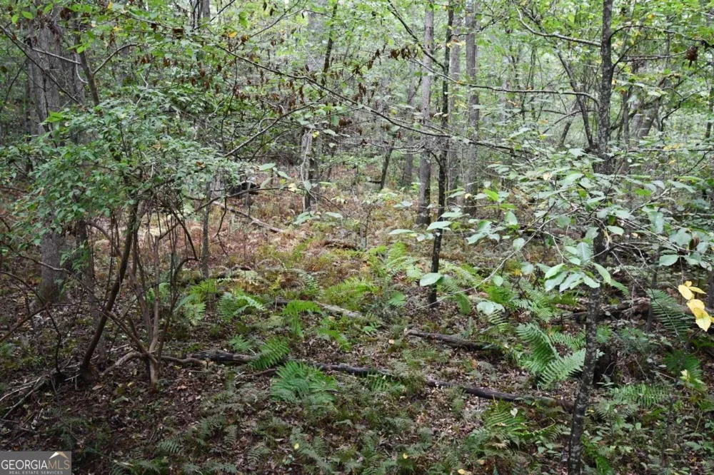 00001 Poplar Springs RD Buchanan, GA 30113