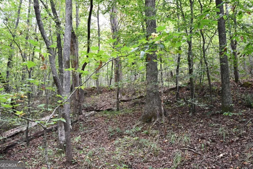 00001 Poplar Springs RD Buchanan, GA 30113