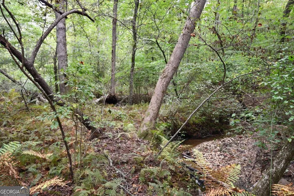 00001 Poplar Springs RD Buchanan, GA 30113