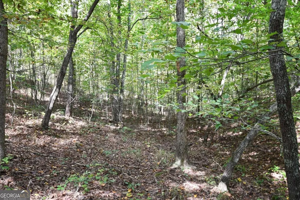 00001 Poplar Springs RD Buchanan, GA 30113