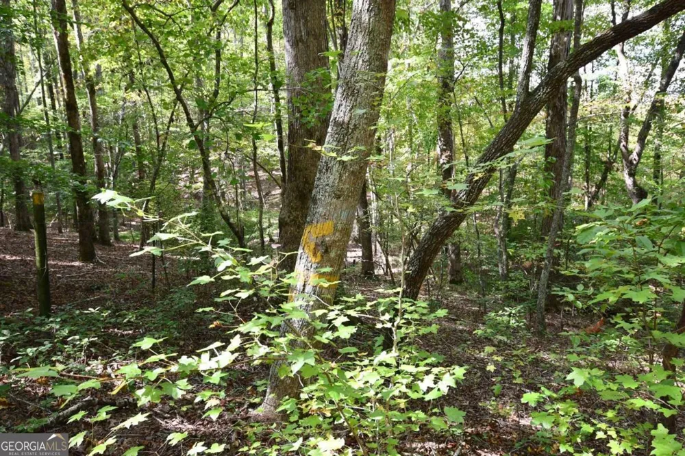 00001 Poplar Springs RD Buchanan, GA 30113