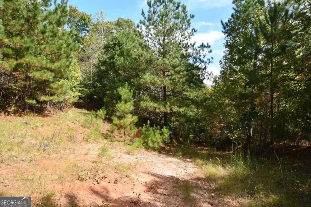 00001 Poplar Springs RD Buchanan, GA 30113