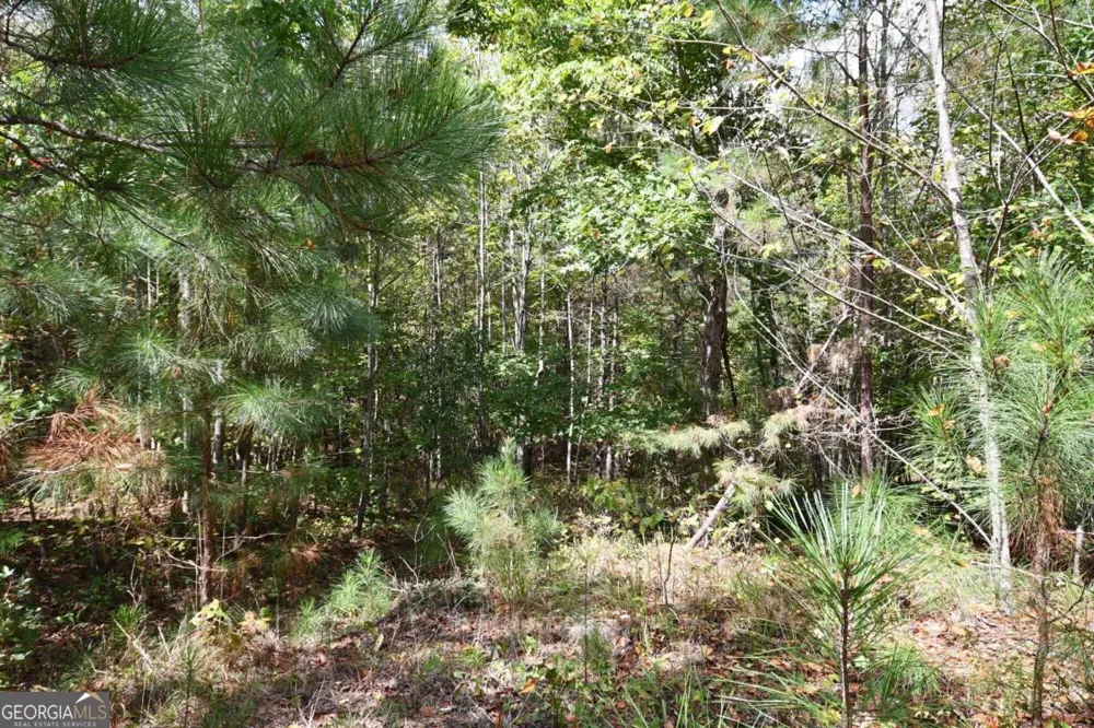 00001 Poplar Springs RD Buchanan, GA 30113