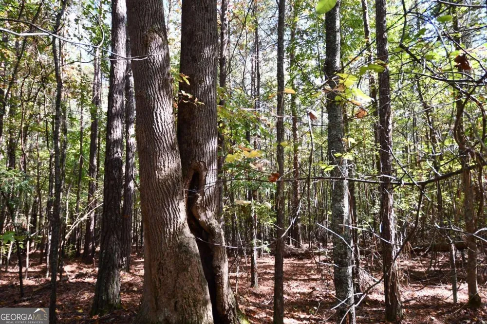 00001 Poplar Springs RD Buchanan, GA 30113